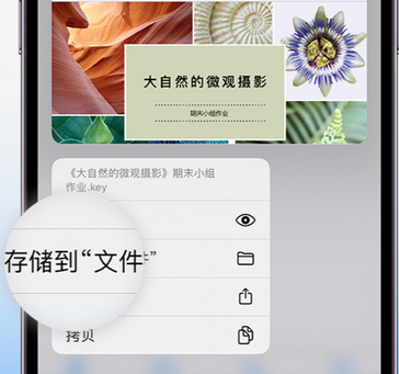 通榆apple维修中心分享iPhone文件应用中存储和找到下载文件