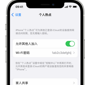 通榆apple服务站点分享iPhone上个人热点丢失了怎么办 