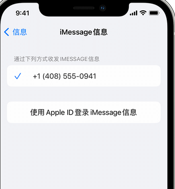 通榆apple维修iPhone上无法正常发送iMessage信息 