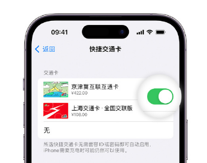 通榆apple维修点分享iPhone上更换Apple Pay快捷交通卡手绘卡面 