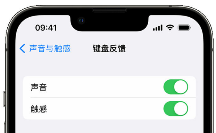 通榆苹果手机维修分享iPhone 14触感键盘使用方法 