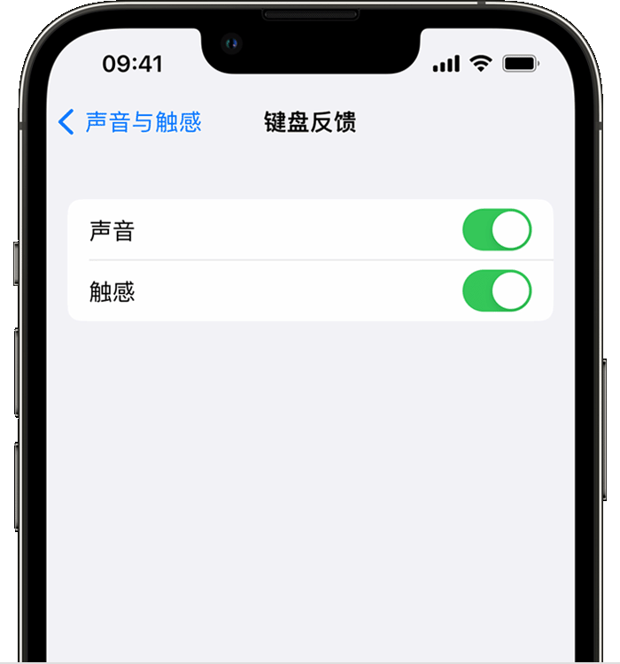 通榆苹果14维修店分享如何在 iPhone 14 机型中使用触感键盘 