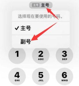 通榆苹果14维修店分享iPhone 14 Pro Max使用副卡打电话的方法 