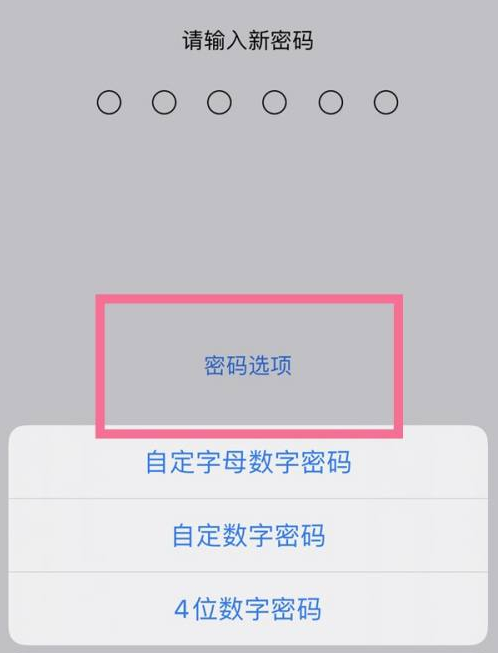 通榆苹果14维修分享iPhone 14plus设置密码的方法 