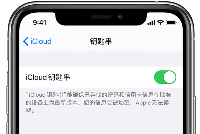 通榆苹果手机维修分享在 iPhone 上开启 iCloud 钥匙串之后会储存哪些信息 