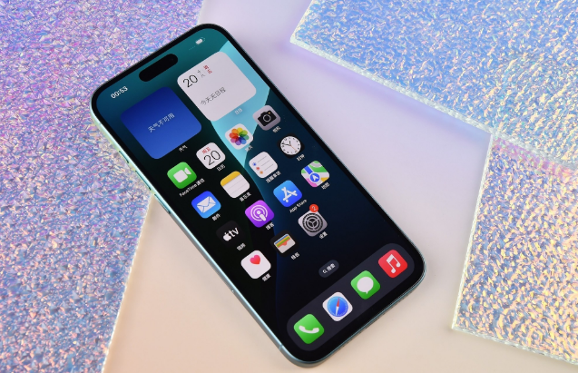 通榆苹果手机维修分享为什么大家不喜欢苹果iPhone 16 Plus 