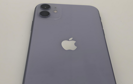 通榆苹果11系统维修分享iPhone11手机系统崩溃无法开机如何解决